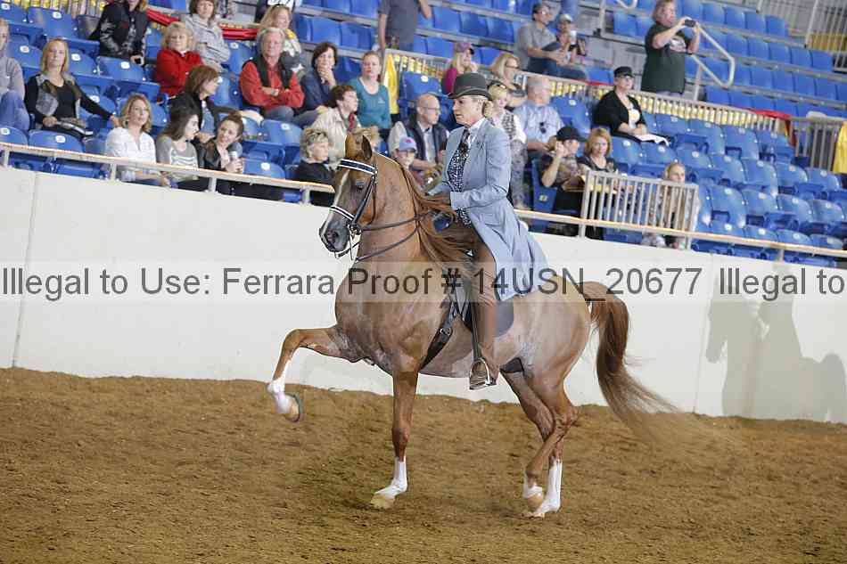 Proof 14usn_20677