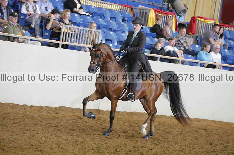 Proof 14usn_20678