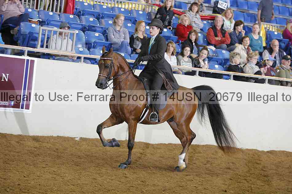 Proof 14usn_20679
