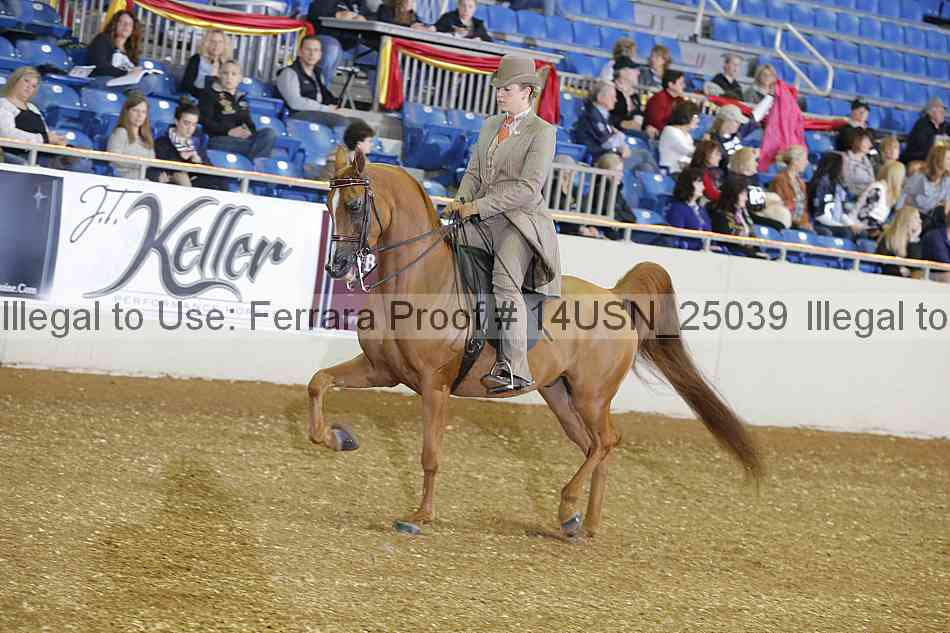 Proof 14usn_25039