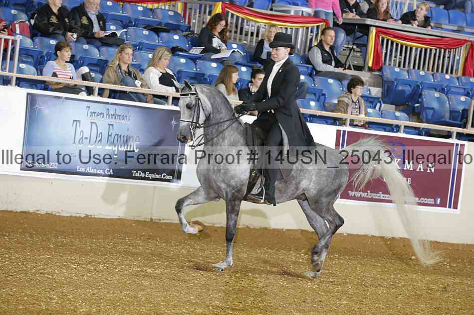 Proof 14usn_25043