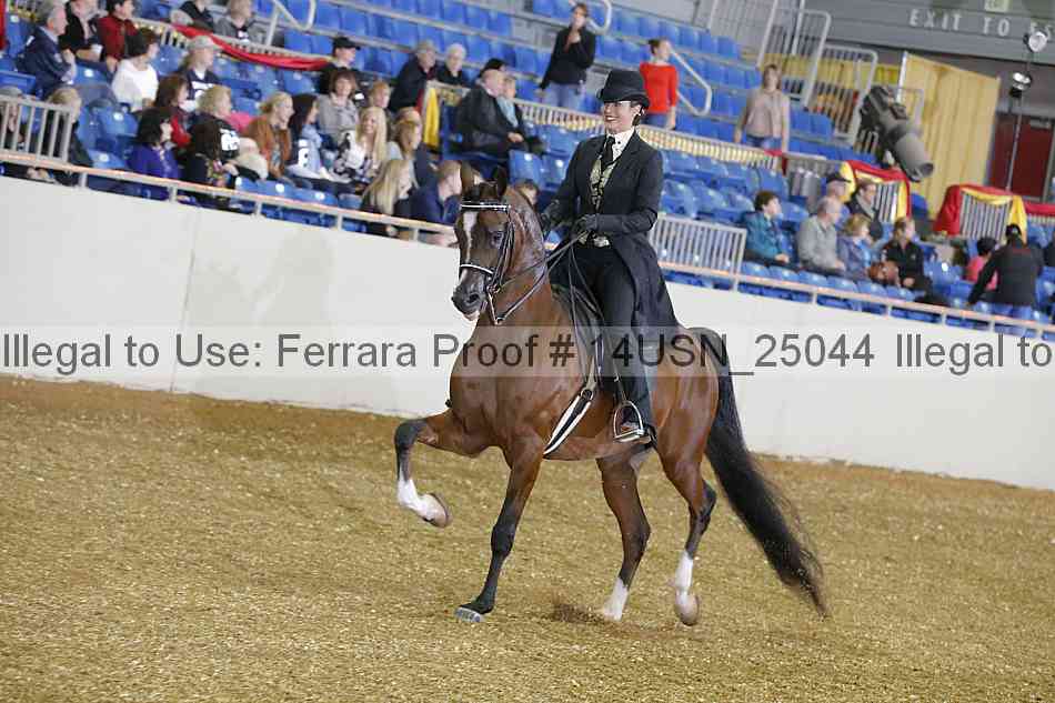 Proof 14usn_25044
