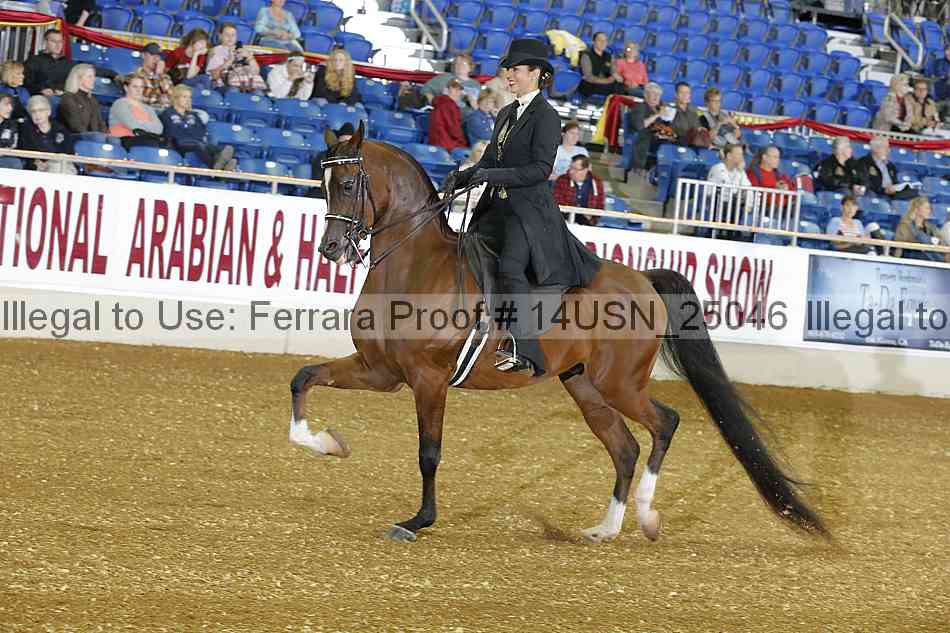 Proof 14usn_25046