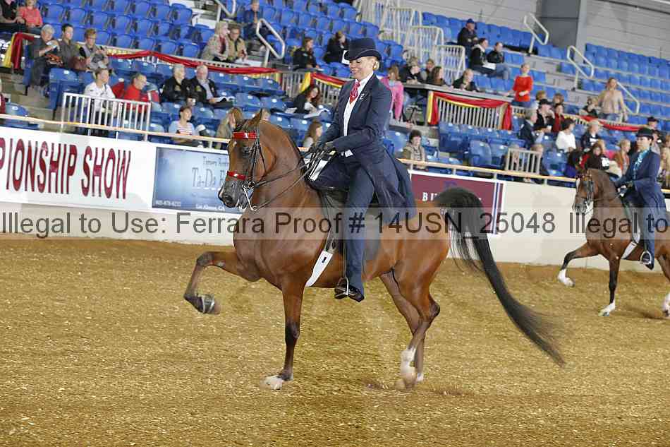 Proof 14usn_25048