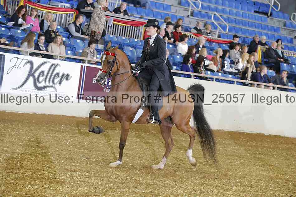 Proof 14usn_25057
