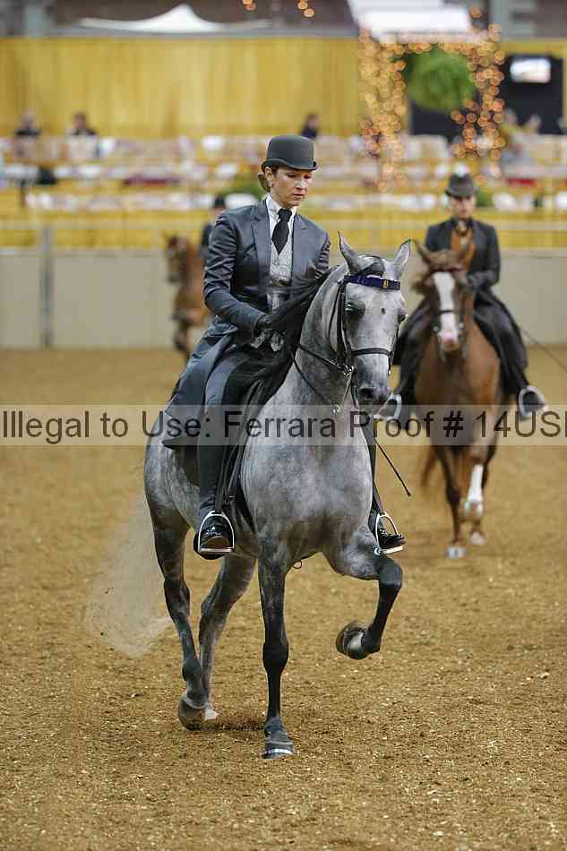 Proof 14usn_25061