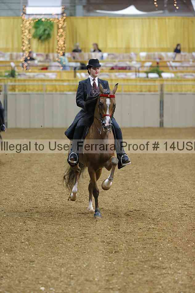 Proof 14usn_25064