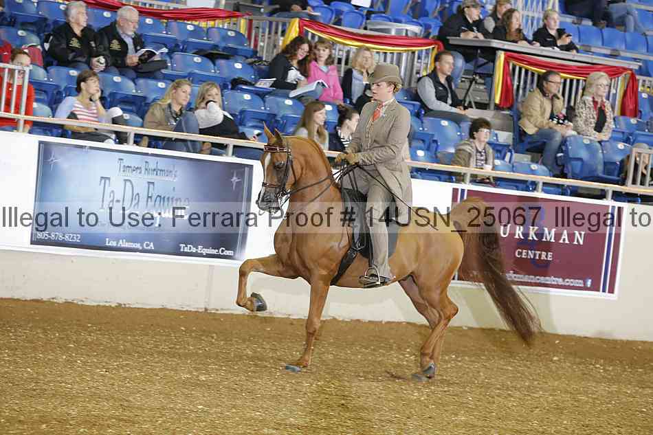Proof 14usn_25067