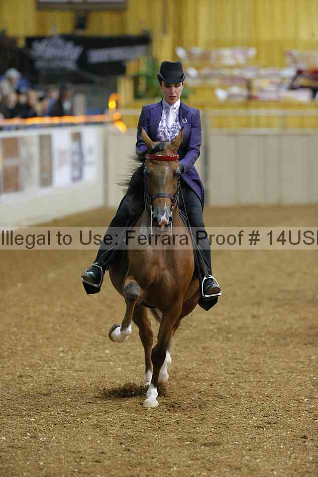 Proof 14usn_25074