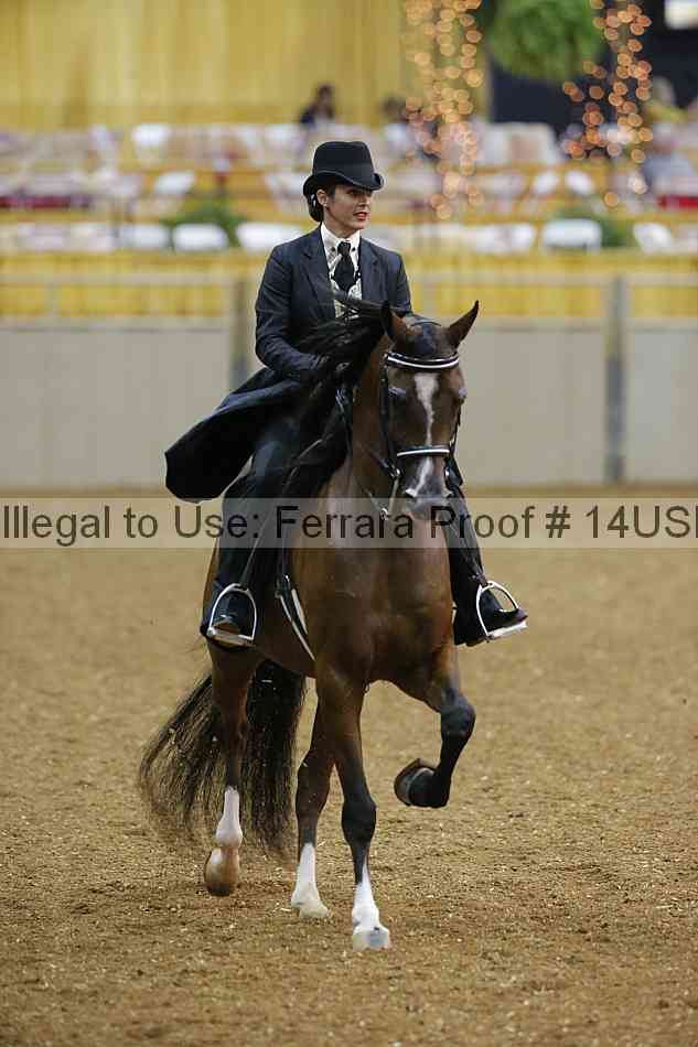 Proof 14usn_25081