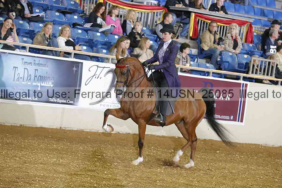 Proof 14usn_25085