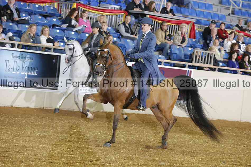 Proof 14usn_25087