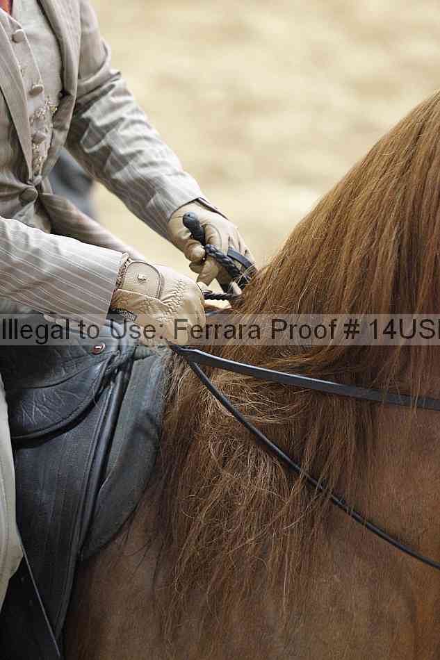 Proof 14usn_25098