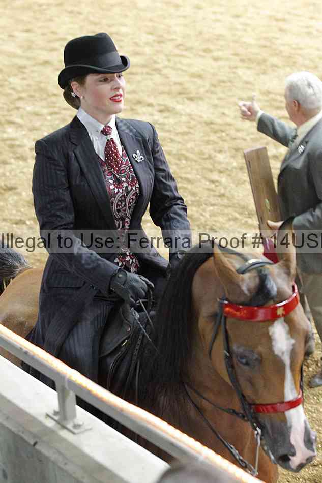Proof 14usn_25101