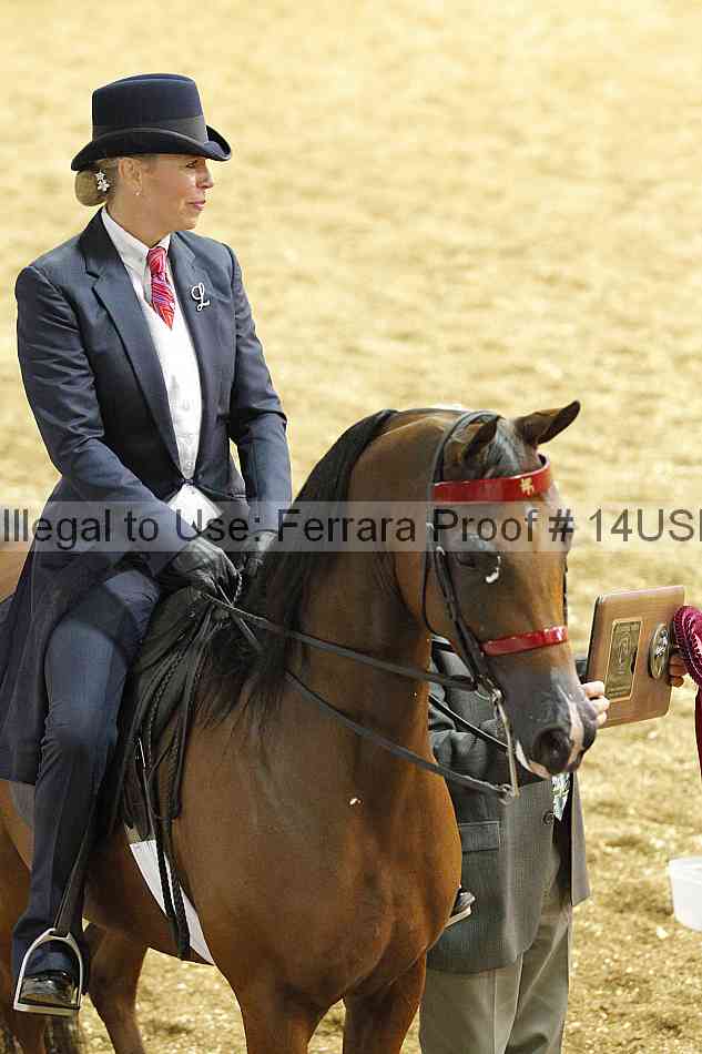 Proof 14usn_25104