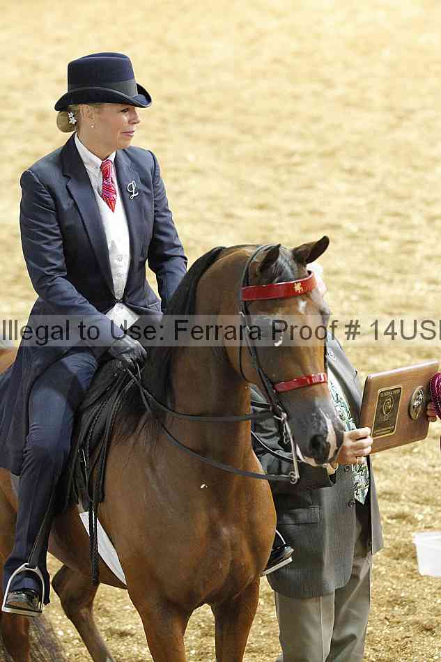 Proof 14usn_25105