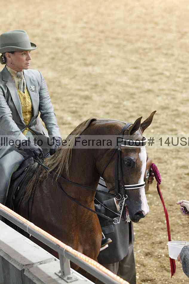 Proof 14usn_25108