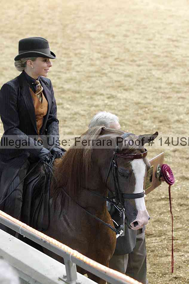 Proof 14usn_25121