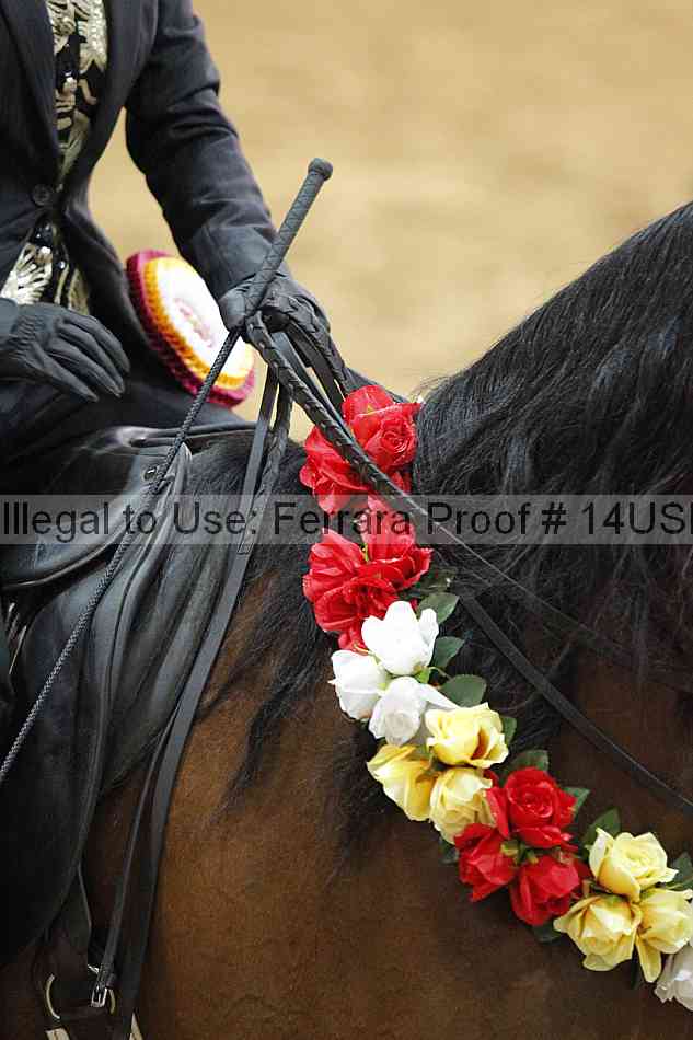Proof 14usn_25155