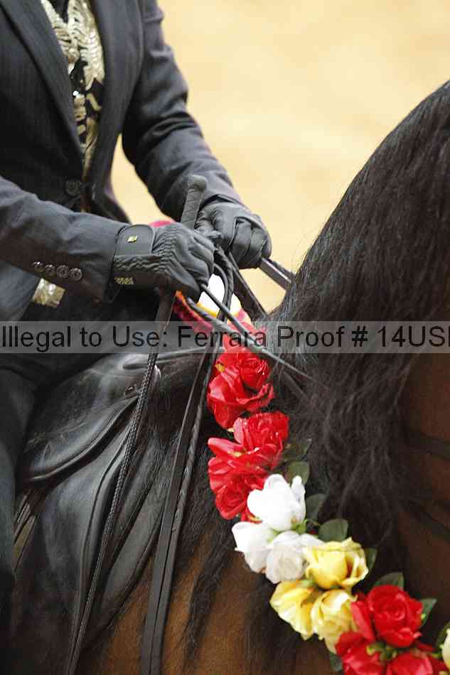 Proof 14usn_25175