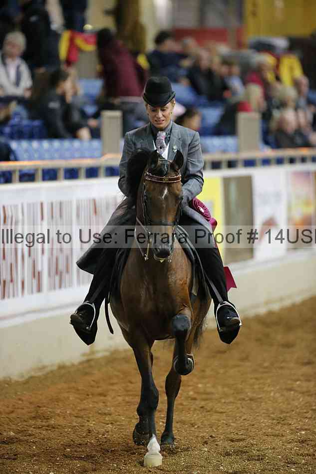 Proof 14usn_25181
