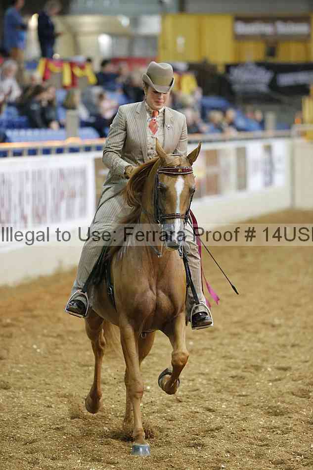 Proof 14usn_25188