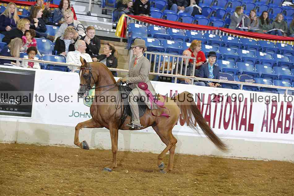 Proof 14usn_25190