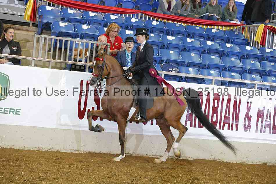 Proof 14usn_25198
