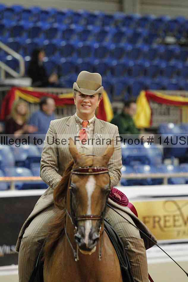 Proof 14usn_25199