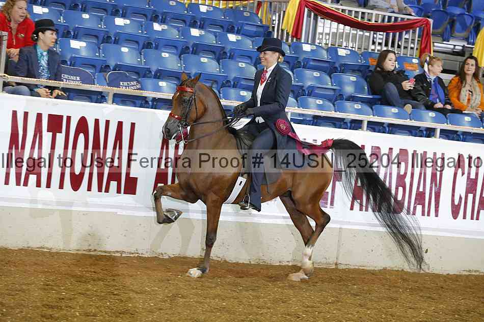 Proof 14usn_25204