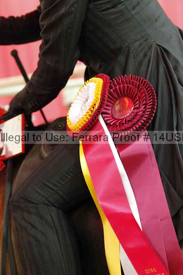 Proof 14usn_25254