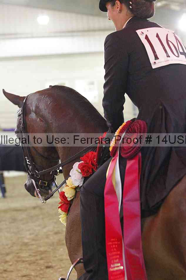 Proof 14usn_25255