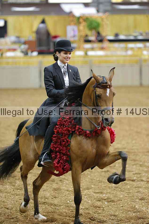 Proof 14usn_25259