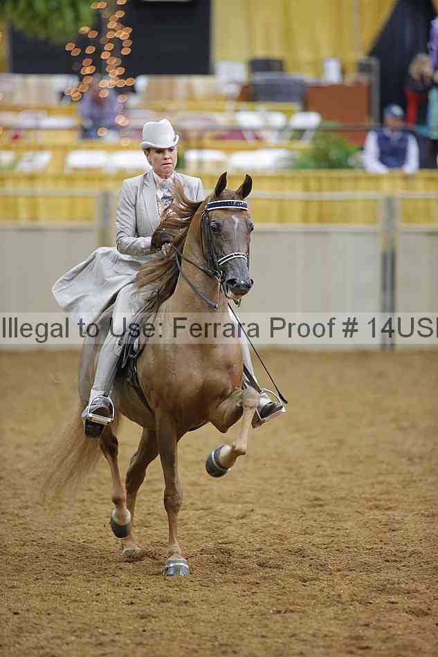 Proof 14usn_08144