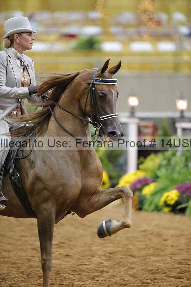 Proof 14usn_08145