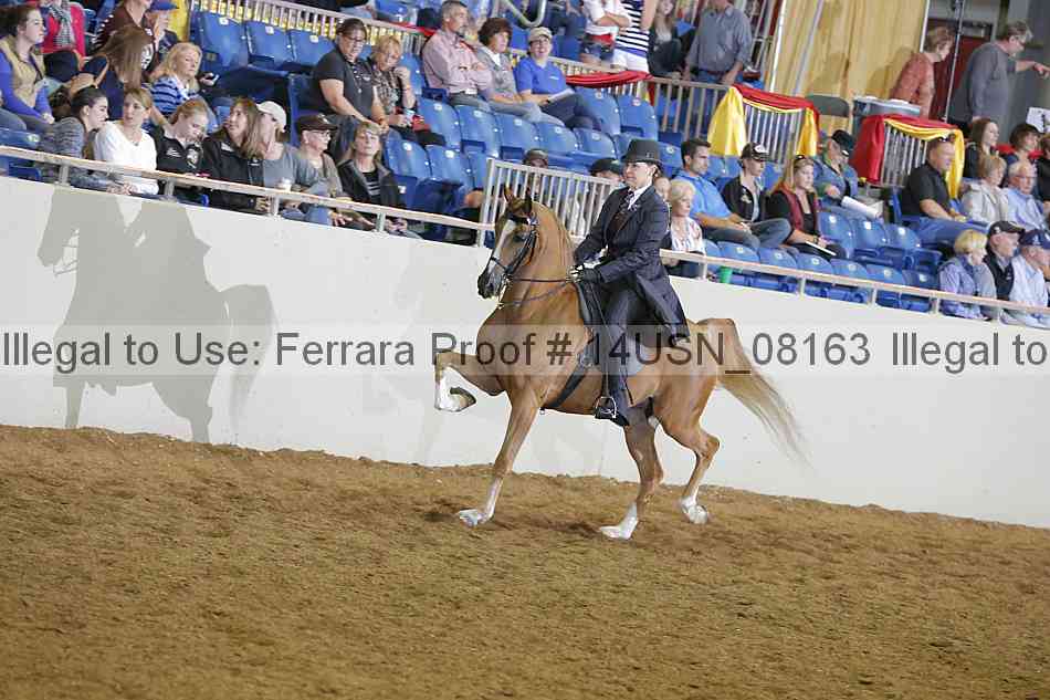 Proof 14usn_08163