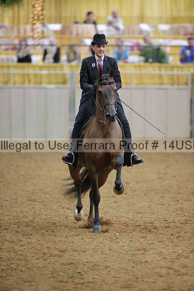 Proof 14usn_08165