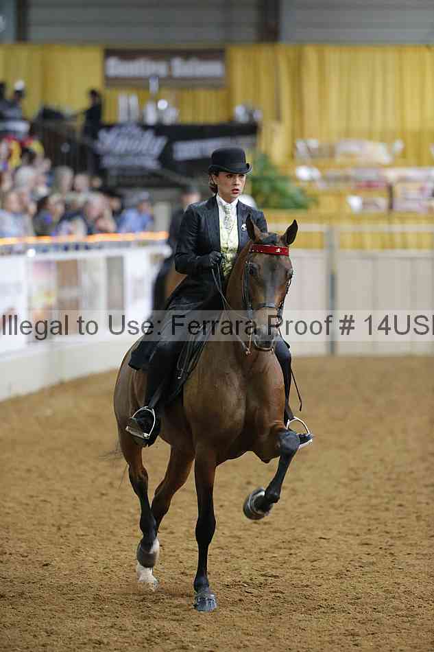 Proof 14usn_08174