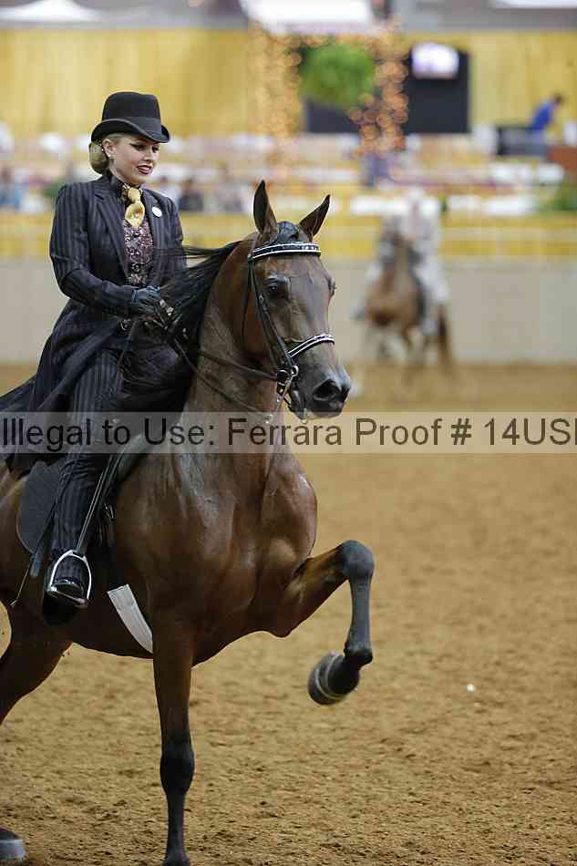 Proof 14usn_08181