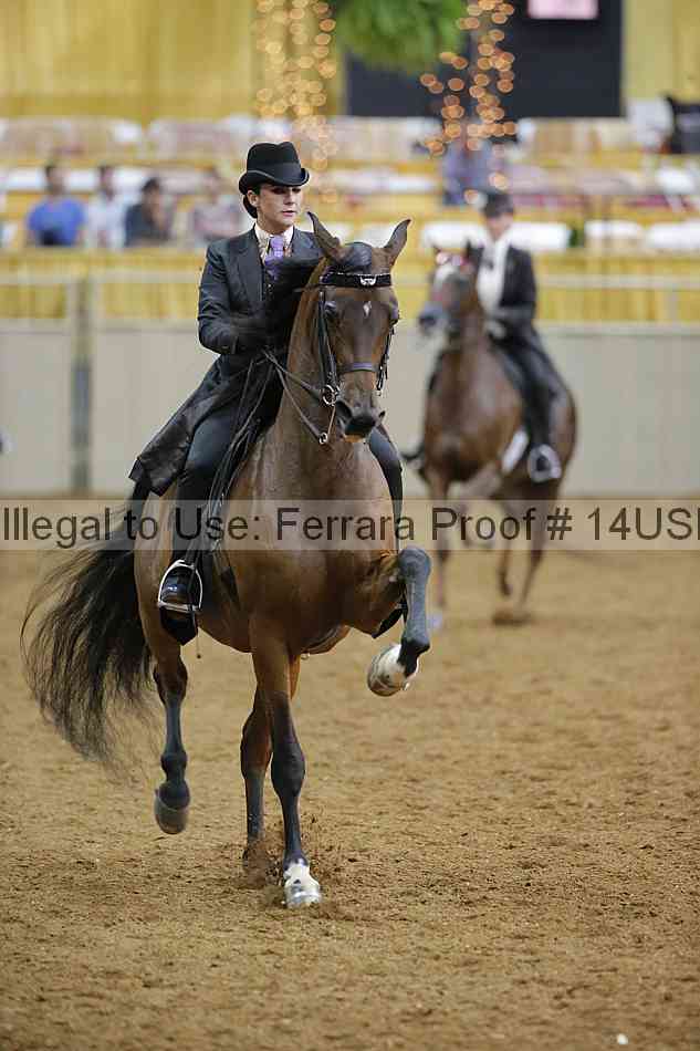 Proof 14usn_08190