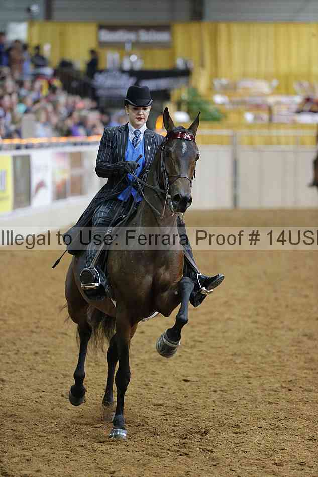 Proof 14usn_08194