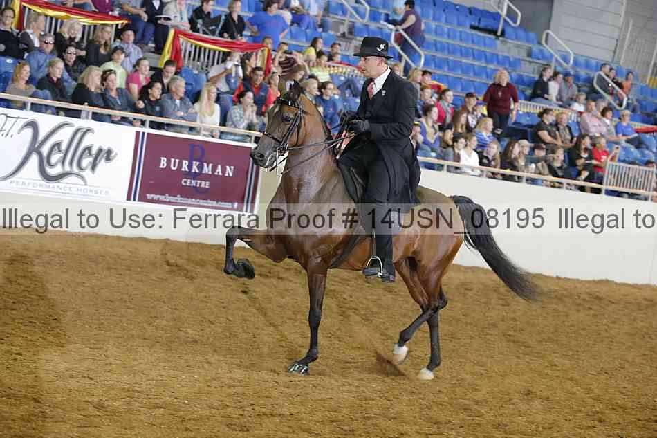 Proof 14usn_08195