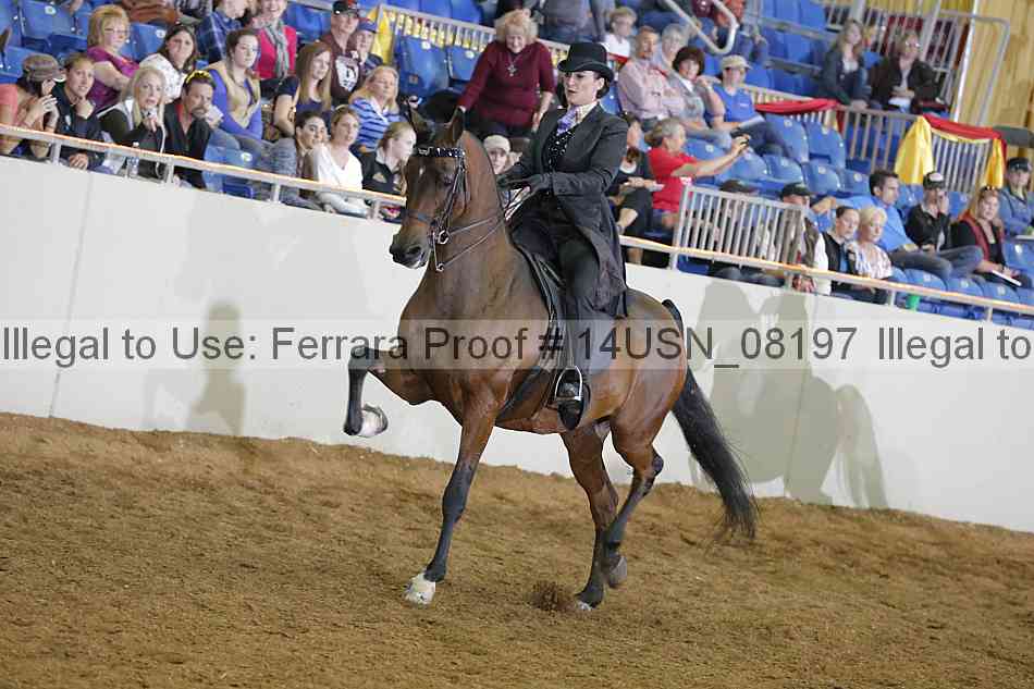 Proof 14usn_08197