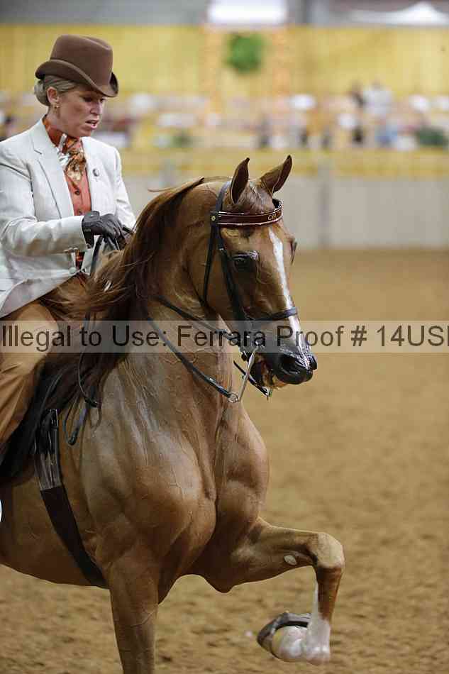 Proof 14usn_08201