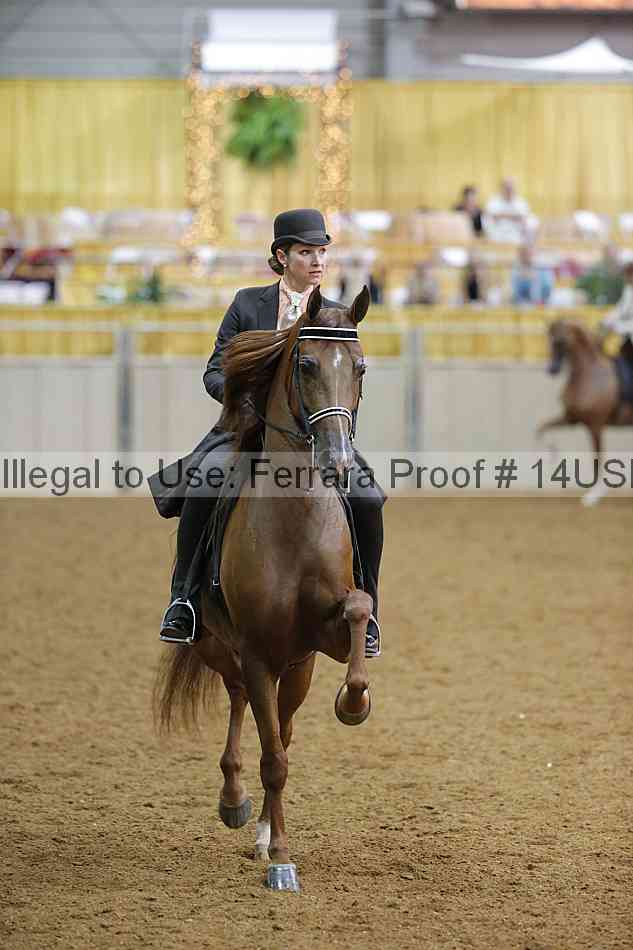 Proof 14usn_08204