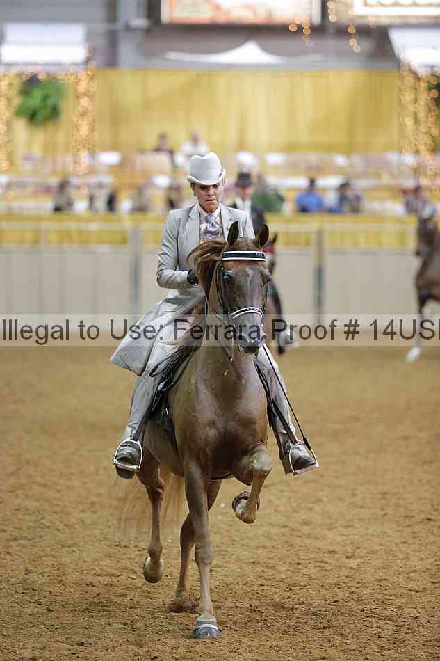 Proof 14usn_08205