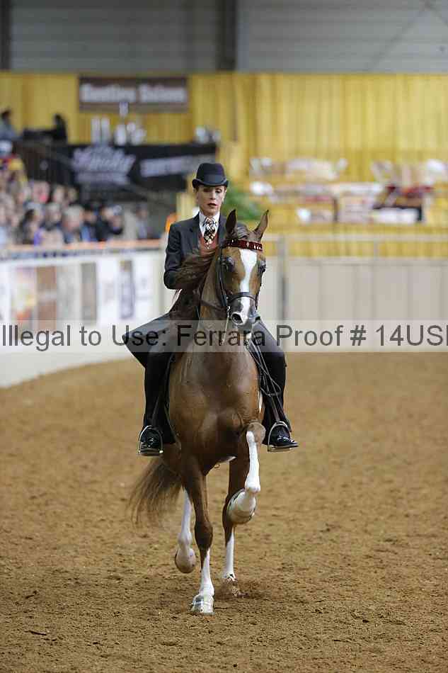 Proof 14usn_08208