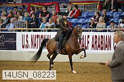 14usn_08223 proof