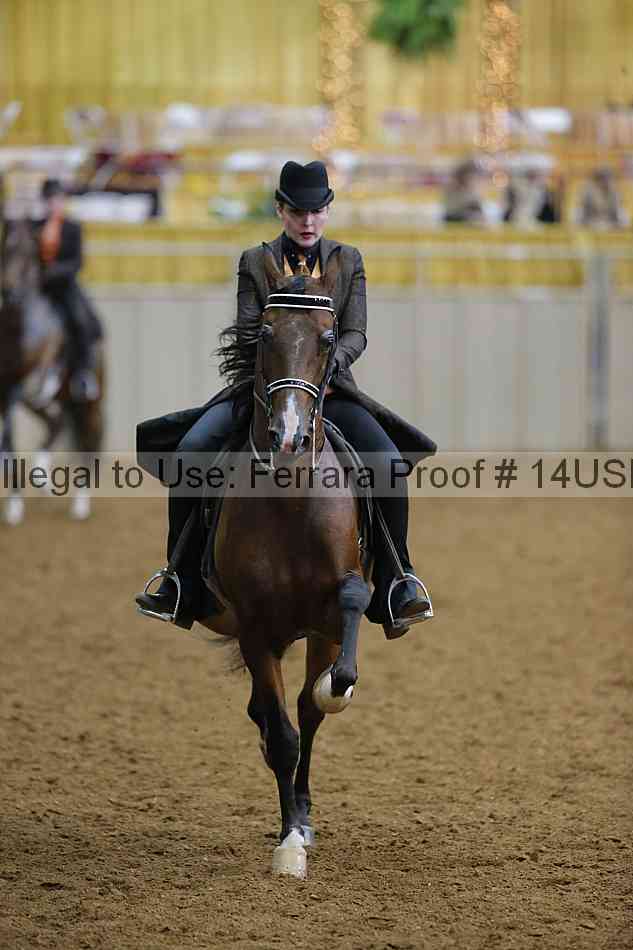 Proof 14usn_08240
