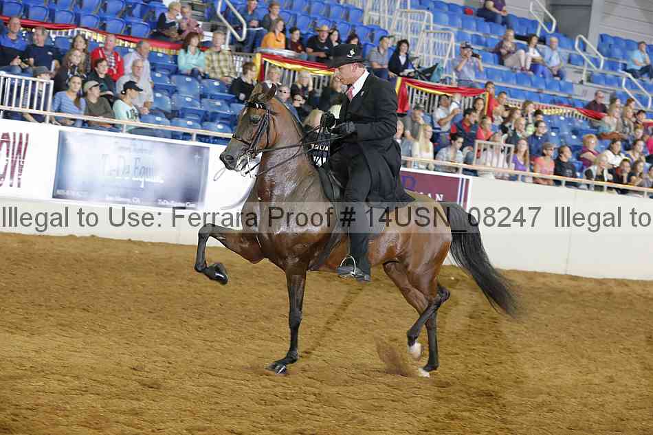 Proof 14usn_08247